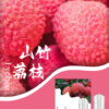 SP2S煙彈一代通用 / 3顆入 / 不用我說的銷冠