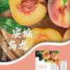SP2S煙彈一代通用 / 3顆入 / 不用我說的銷冠
