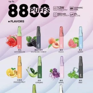 🚀CHILL 8800 Puff｜潮人最IN爆煙神器💨即開即爽